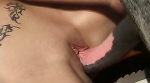 animal-fuck,horse-sex