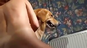 tigrinho fortune demo - animal-fuck,kinky