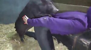 wonderful,bestiality-stories