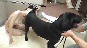 japanese,animal-fuck