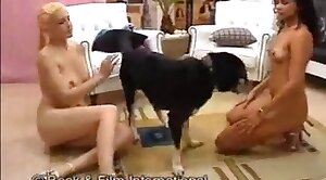 dog-xxx,sex-movie